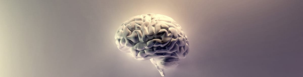 Neuralink gets first ever user of their brain-computer interface